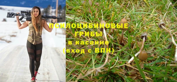 каннабис Зеленокумск