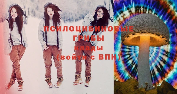 стафф Заводоуковск