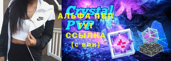 СК Зерноград