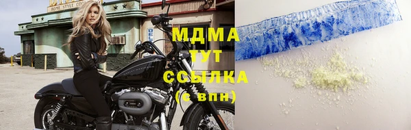 крисы Ельня