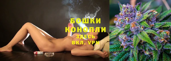 стафф Заводоуковск